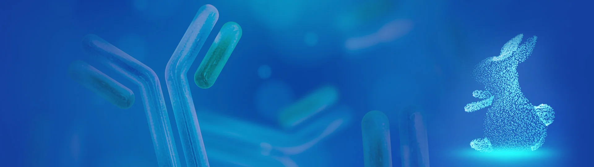 Custom Recombinant Rabbit Monoclonal Antibody Services